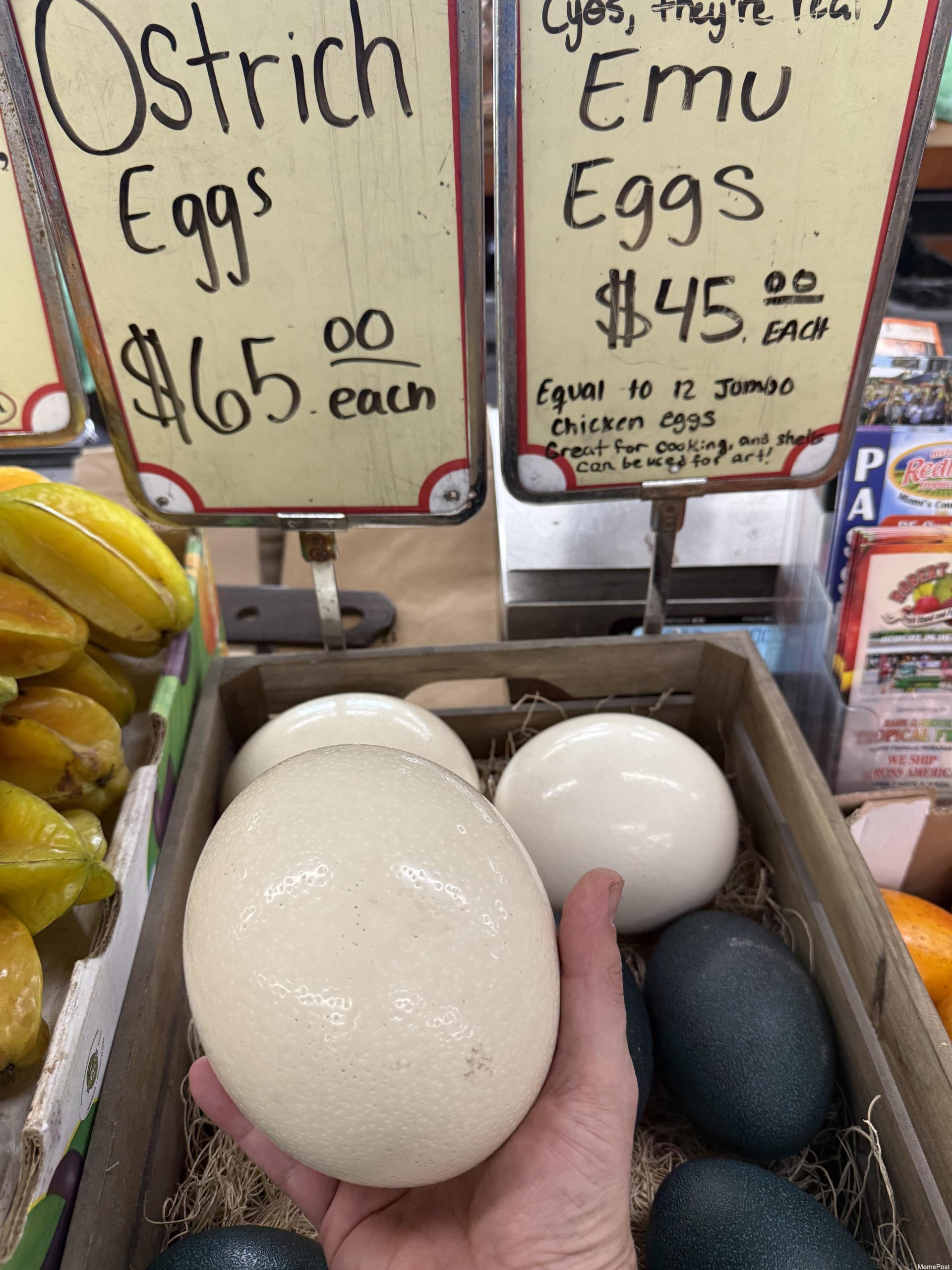 Egg Prices Going Up: Understanding Rising Costs, Inflation Impact, and Tips for Budget-Friendly Shop