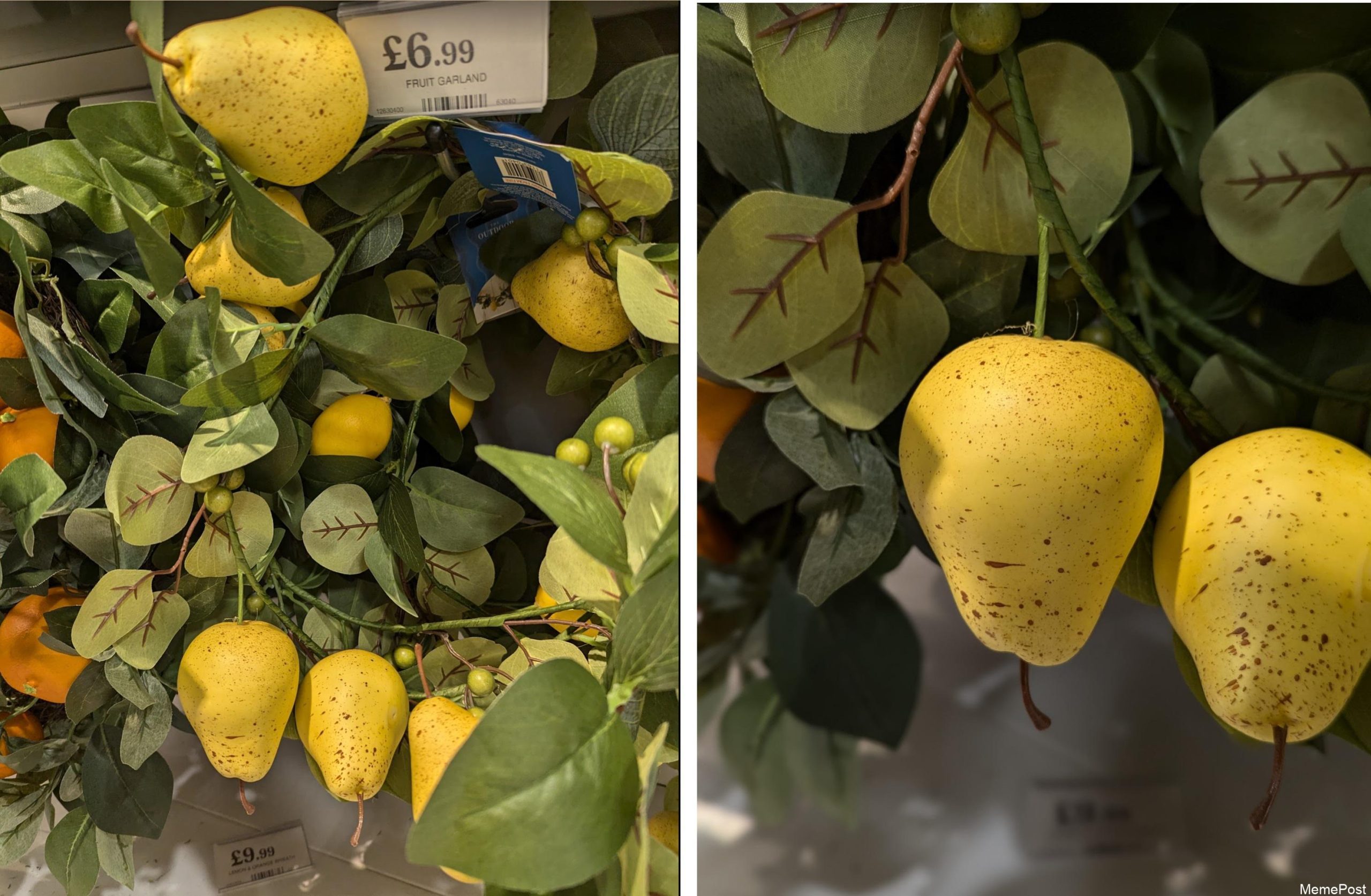 I Don't Think That's How Pears Grow: Fun Facts About Pear Growth and Hilarious Fruit Misconceptions