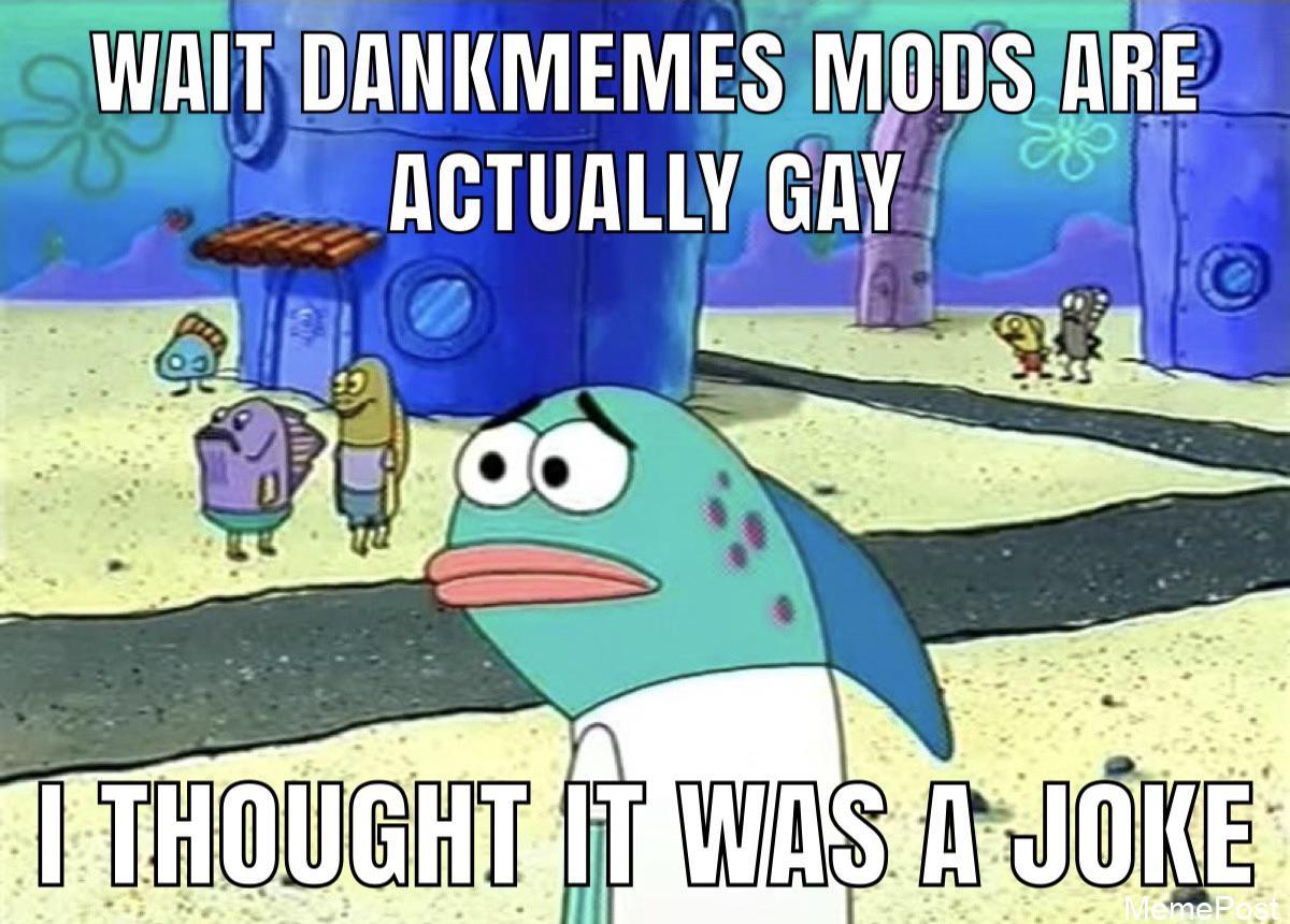 Please Have Mercy Mods: A Hilarious Plea from Gamers for Understanding and Fairness Online