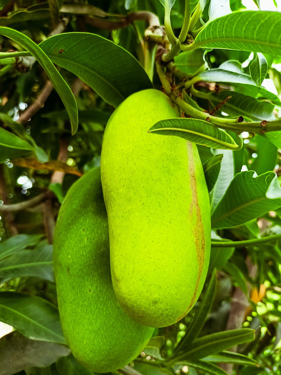 Inline AITA Image 3