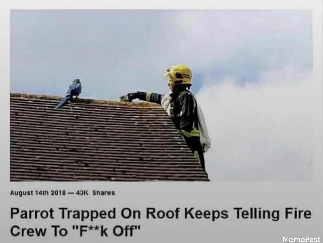 Me IRL: Relatable Moments That Capture Everyday Life Struggles and Humorous Situations